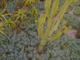 Getty April 2009 026.jpg