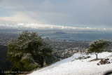 Oakland Hills Snow