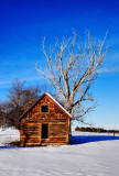 Old Farm House by Albert Yanowich Jr.