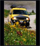 Rally 10, San Juan Mnts, Colorado