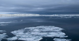 Icebergs, Antarctic Sound 4