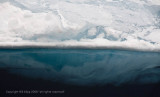 Icebergs, Antarctic Sound 5