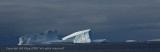 Icebergs,  Paulet Island  6