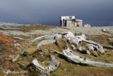 Whale Bones & Trappers Hut, Gashamna Svalbard