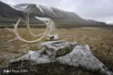 Diskobuka Scenic, Svalbard  2