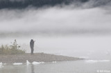 Mendenhall Glacier, Juneau Alaska  3