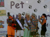 Pet Masquerade Parade 2
