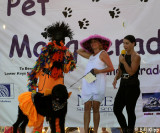 Pet  Masquerade Parade  6