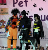 Pet  Masquerade Parade  12