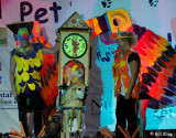 Pet  Masquerade Parade  13