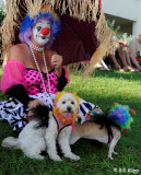 Pet  Masquerade Parade  15