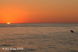 Sunrise Over Sea of Cortez
