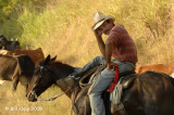 Cuban Cowboy 1