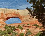 Wilsons Arch, Utah