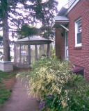 tent and a Scottish broom