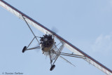 aar11.jpg