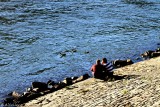 Am Rhein, am Rhein, am deutschen Rhein...