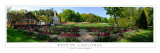 Bois de Coulonge avec tulipes- mai 2008 copie copie.jpg