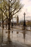 Walking on the River Thames