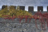 Castello di San Salvatore