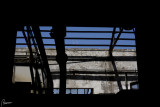 Desolation