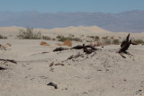 Death Valley