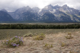 Grand Teton Mountains