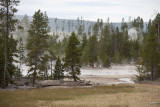Yellowstone N.P.