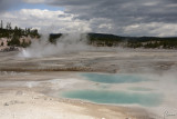 Yellowstone N.P.