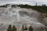 Yellowstone N.P.