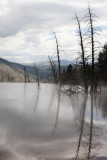 Yellowstone N.P.