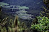 Rocky Mountain National Park:  Western Valley