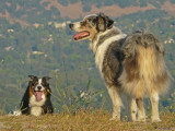 Taking a Breather - Jackson &  Jamie