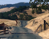 Cattle Guard Exiting Old Borges Ranch
