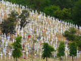 Hillside of Crosses