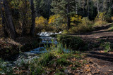 Creek Trail