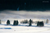 3rd Place - WinterFog - by db.
