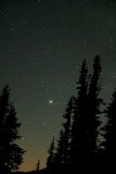 Starry, Starry Night*