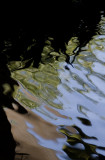 ripples