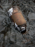 5th Place - Trash  3 by Stan Pepka