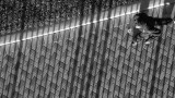 Runner and Shadows