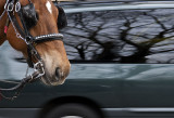Blinders