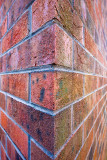Bricks in the wall