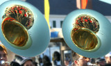 8th Place - Tuba Times Two - by Mary Anne
