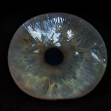 10th Place - 6941 The Sky thru Johns Eye - by John Prichard