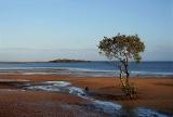 Low Tide *
