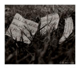 Discarded Words *