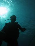Silhouette in the blue*