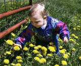 9th place <br>Mothers Day Flowers by jstrong