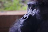 a trip to the zoo